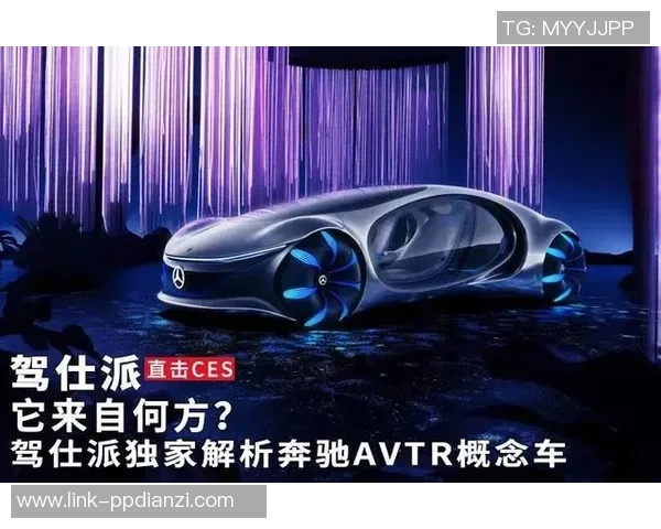 独家解析：WE力量对比的深度剖析与未来发展趋势探讨