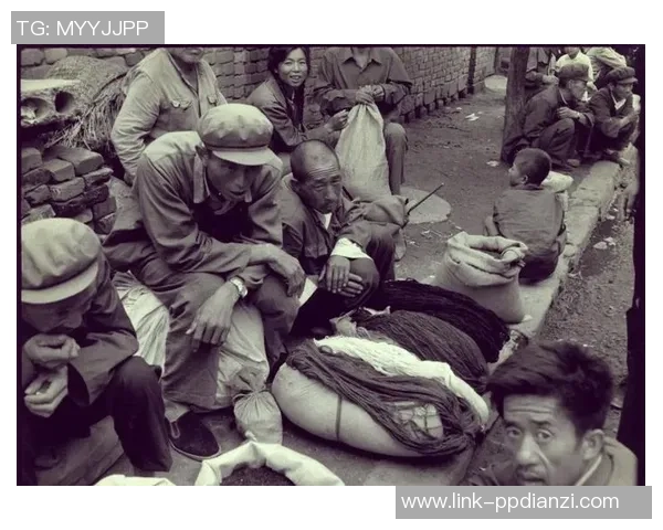 西安排球队转型之路的纪实探索与成长历程